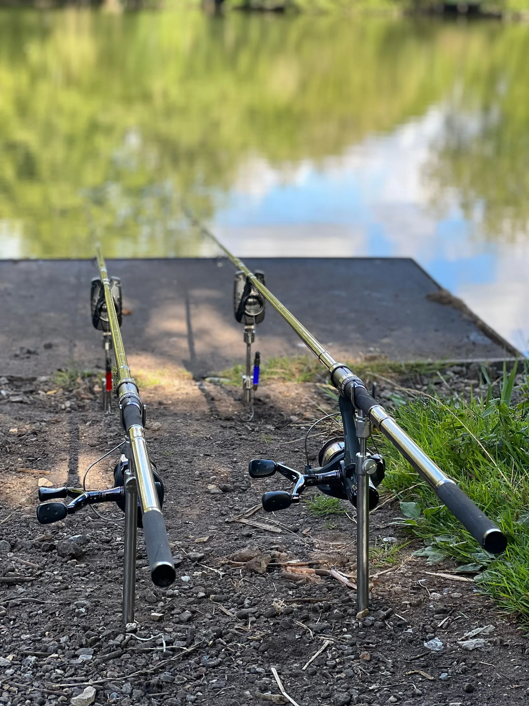 Two fishing rods set up beside a grassy lake shore.